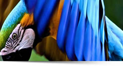 Viaggi in Perù, Viaggi su misura